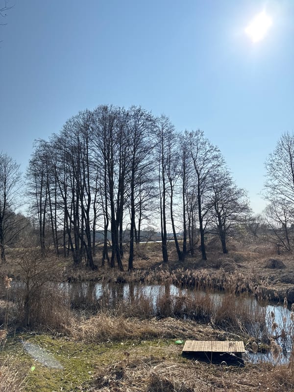 Cyclist crosses bridges over Belarus watercourse on sunny morning