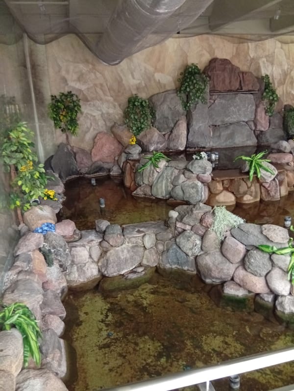 Indoor mall visit with decorative waterfalls in Šiauliai