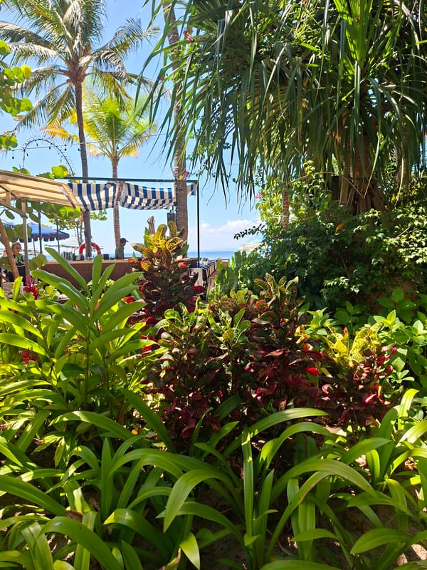 Visitor documents sea turtle conservation center in Denpasar, Indonesia