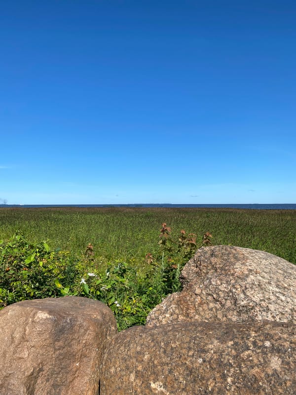 Gulf of Finland shoreline at Peterhof on a clear summer morning