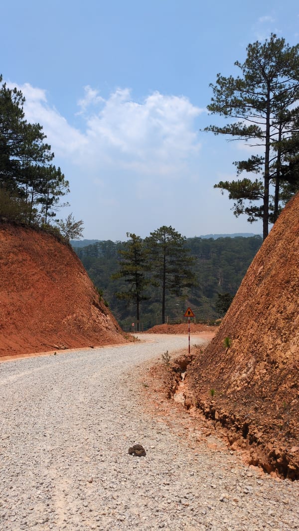 Rural road landscape documented in Lạc Dương, Vietnam