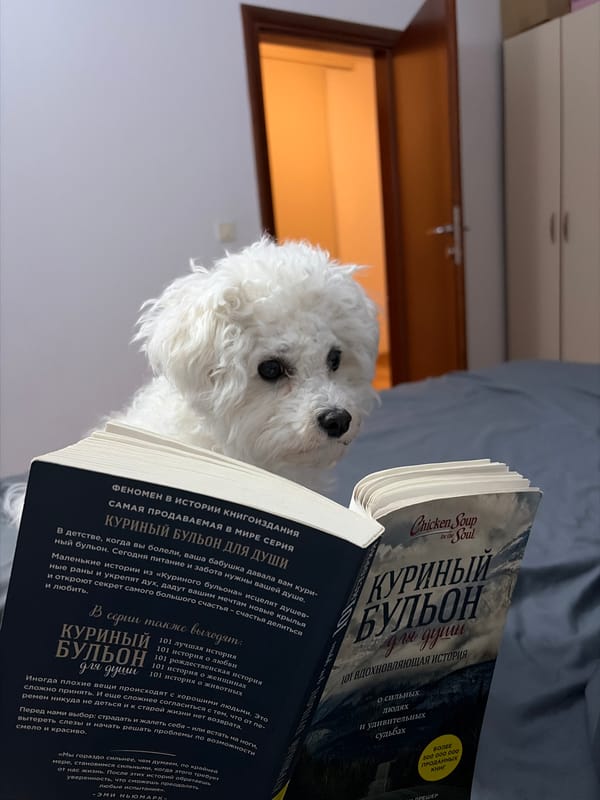 Woman in blue observed on blue surface near Budva