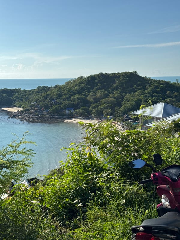 Tropical bay exploration with aerial views and coastal rides