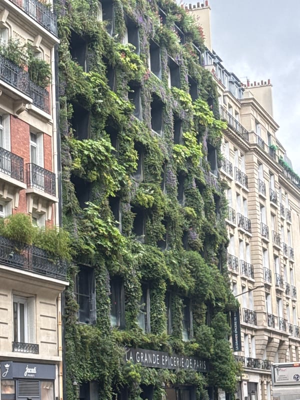 Vertical garden with purple flowers spotted on Paris building facade