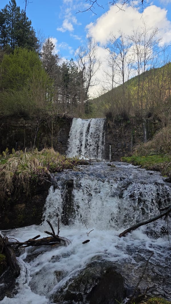 Waterfall and creek documented in Bistritsa, Bulgaria forest setting