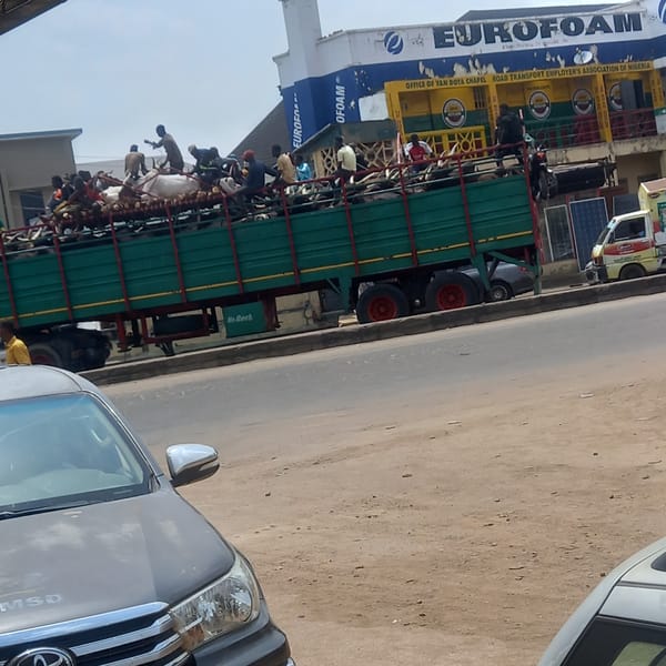 Everyday street life captured in Dadi Riba, Nigeria