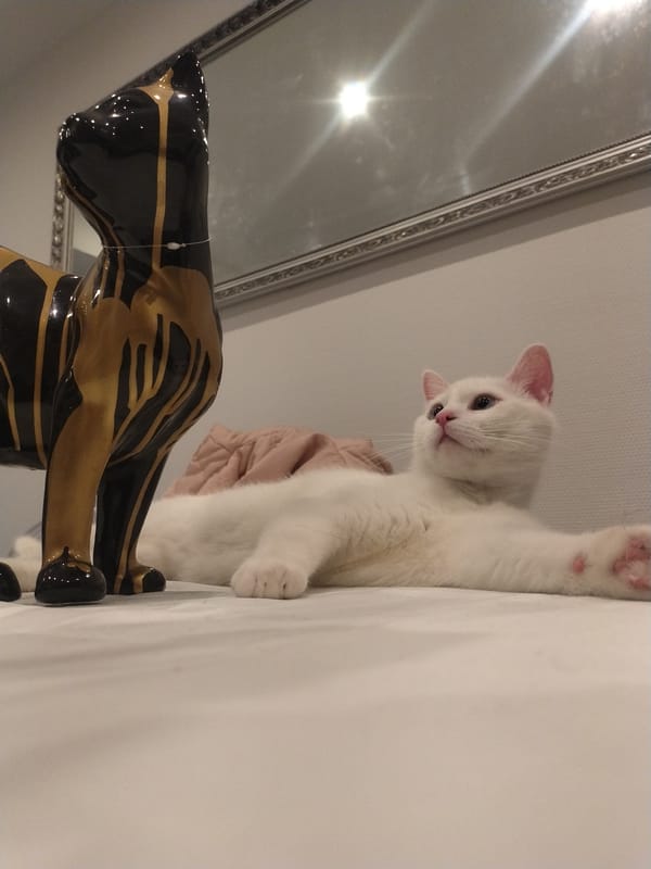 Two cats at home in Luxembourg, one statuesque companion nearby