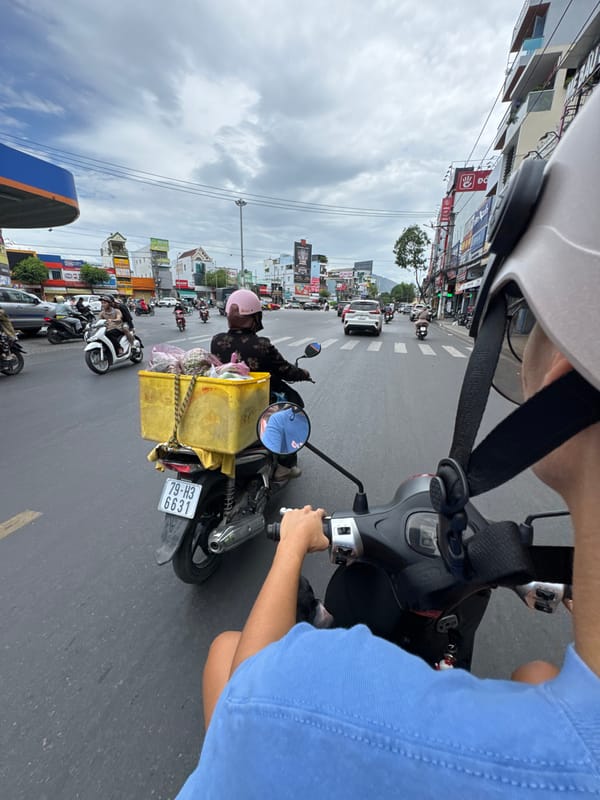 Nha Trang street traffic, scooters, and a dog along for the ride