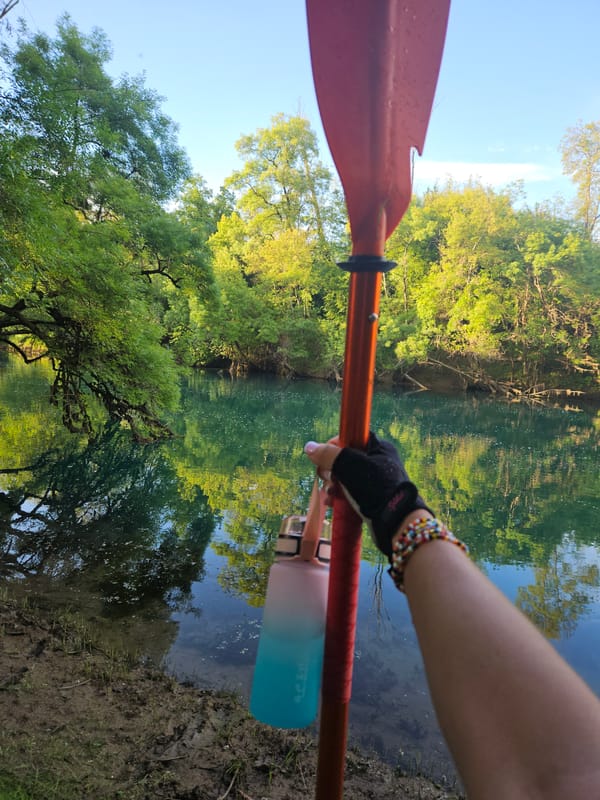 Kayaker spotted on wooded riverbank during afternoon paddle trip