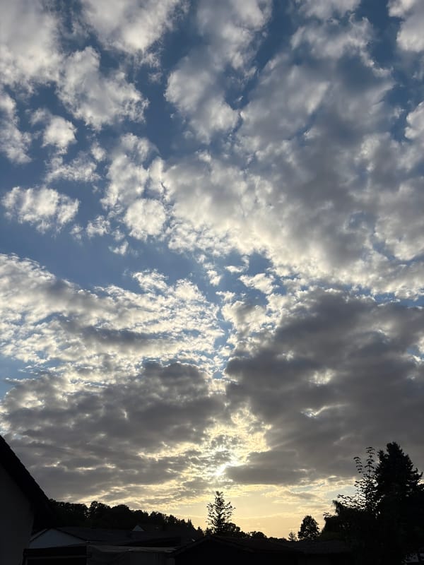 Golden hour across rural roads and dramatic skies