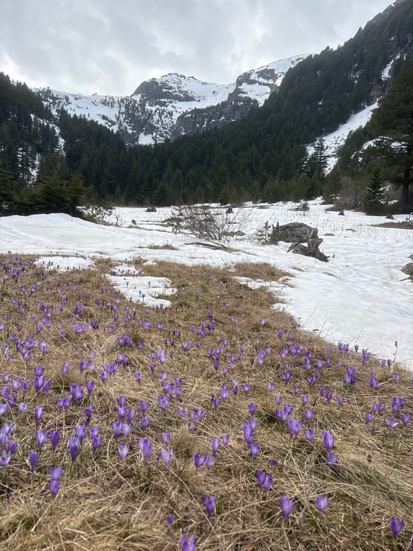 Woman takes outdoor selfie in Bulgarian mountains