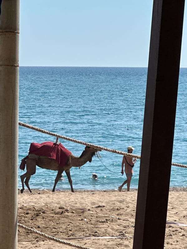 Coastal view observed from elevated position in Manavgat, Turkey