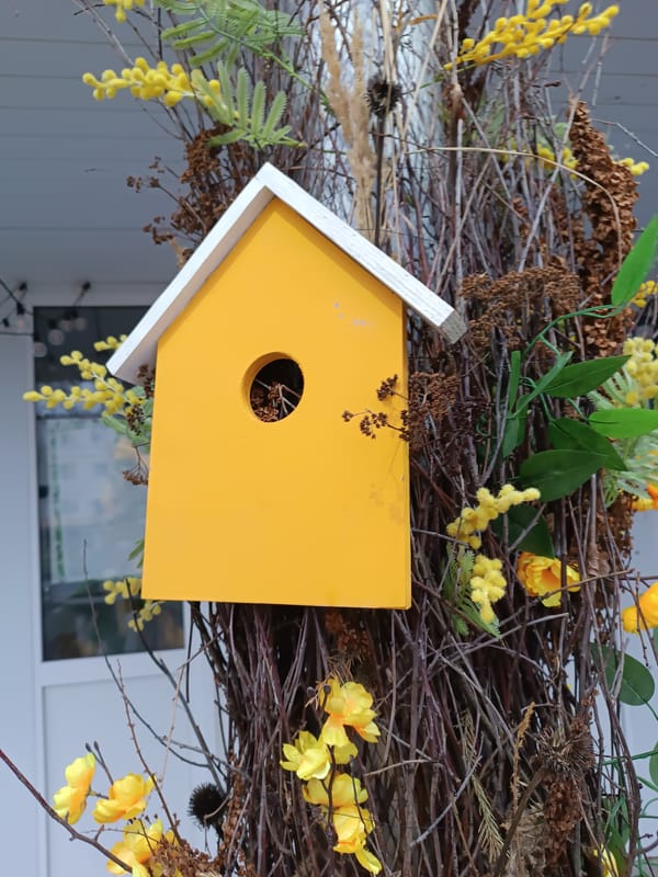 Decorative birdhouse spotted among flowering branches in Chaikovsky