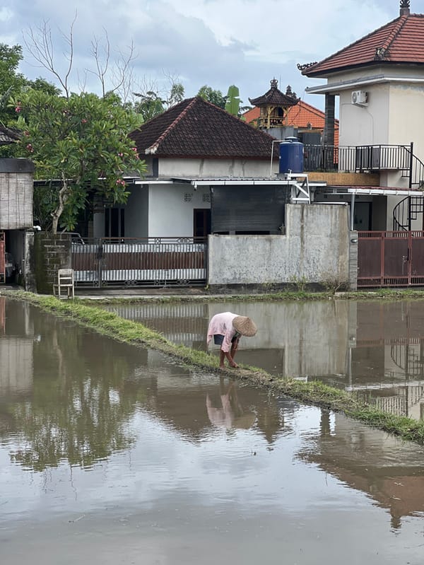 Morning life captured across rural Bali villages and paddies