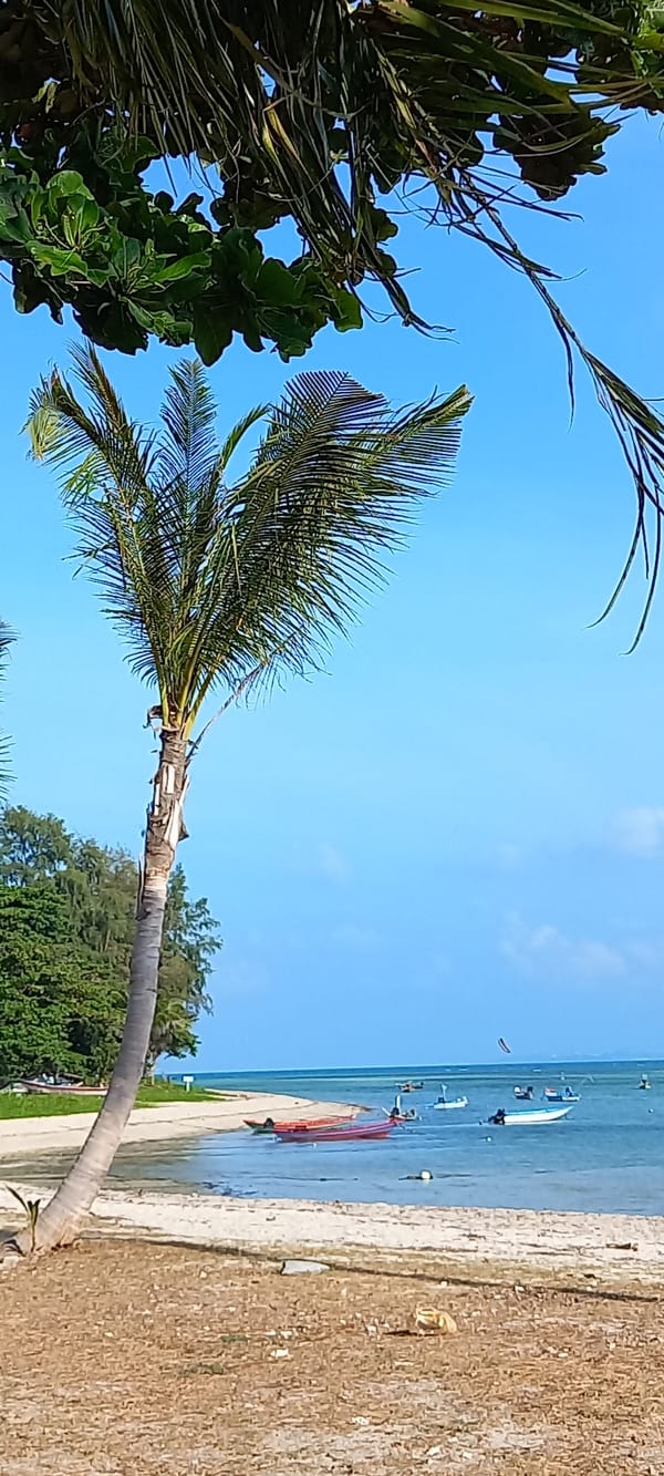 Thong Sala Thailand coastal scenes documented by witnesses