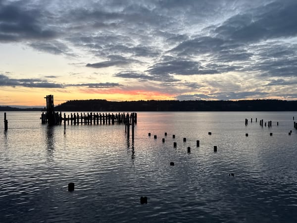 Dusk over Commencement Bay, old pilings in the water