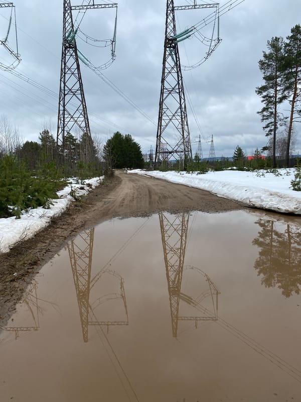 Morning documentation of rural life scenes in Noviy, Russia