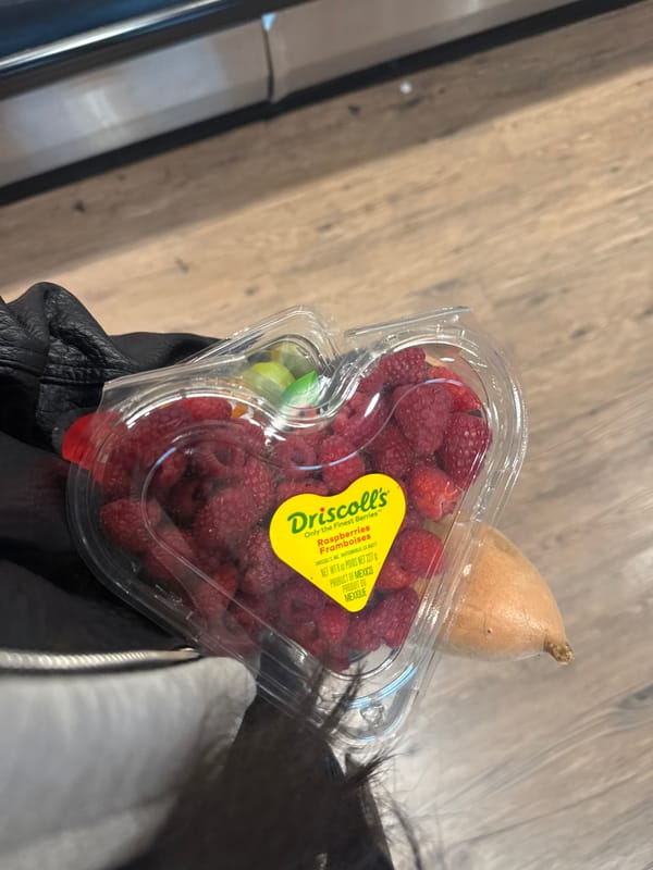 Person holds Mexican raspberries and sweet potato in North Vancouver
