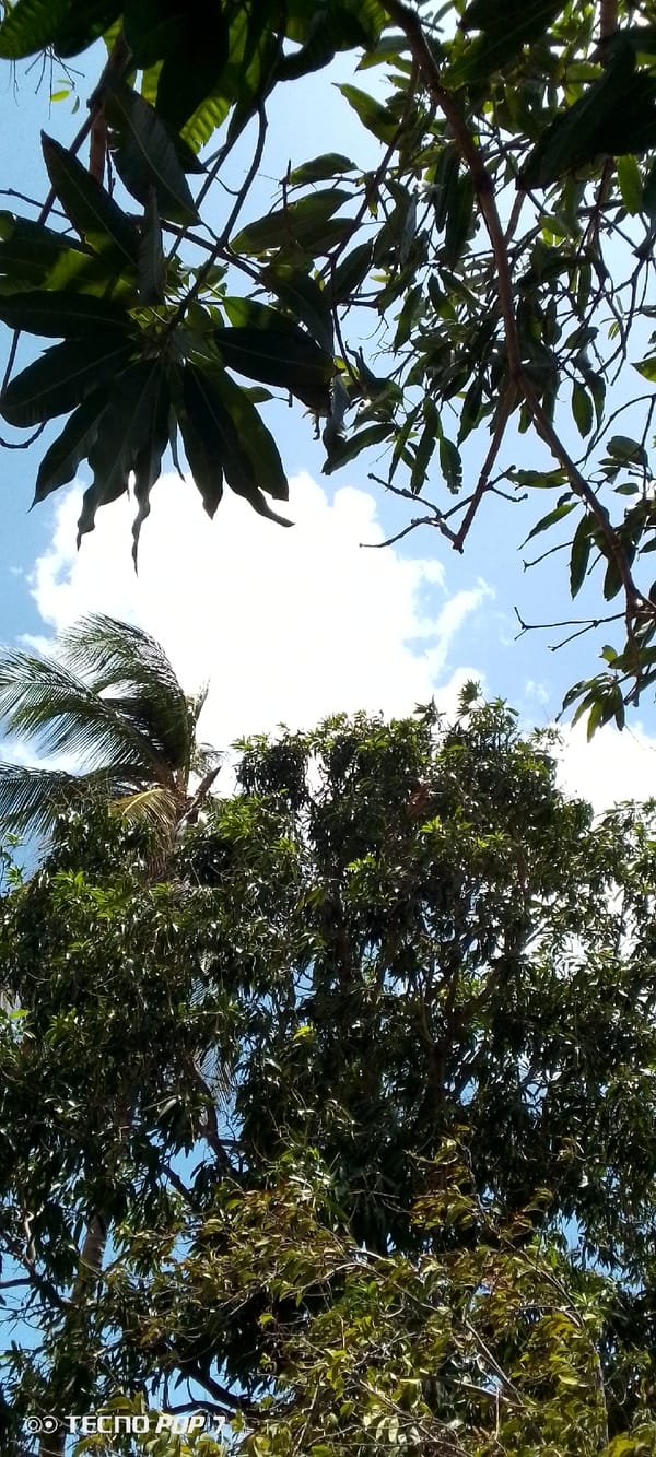 Afternoon sky documented through security walls in Altagracia, Venezuela