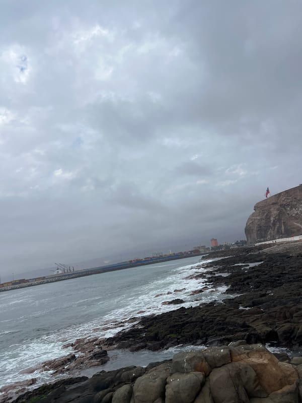 Arica's rocky coast explored — birds, lobsters, and cargo ships