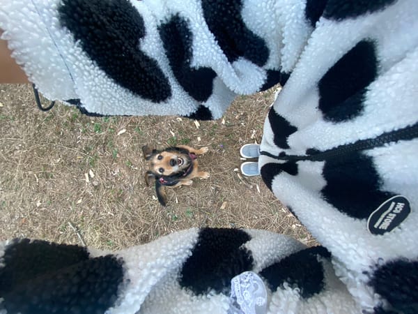 Person and dog photographed from multiple angles in Moscow