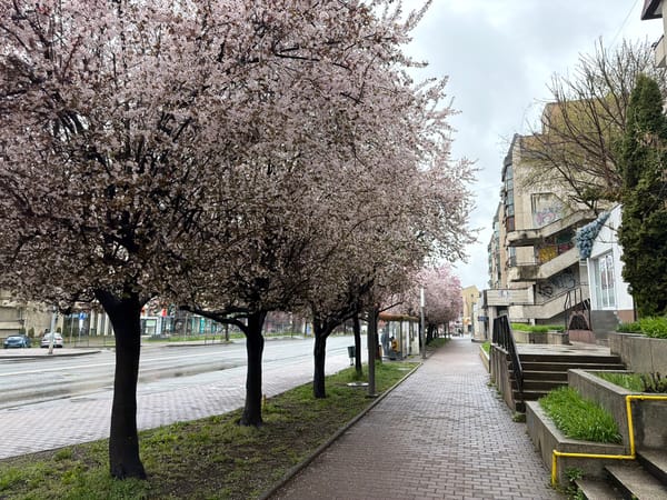 Spring street scenes captured across Târgu Mureș, Romania