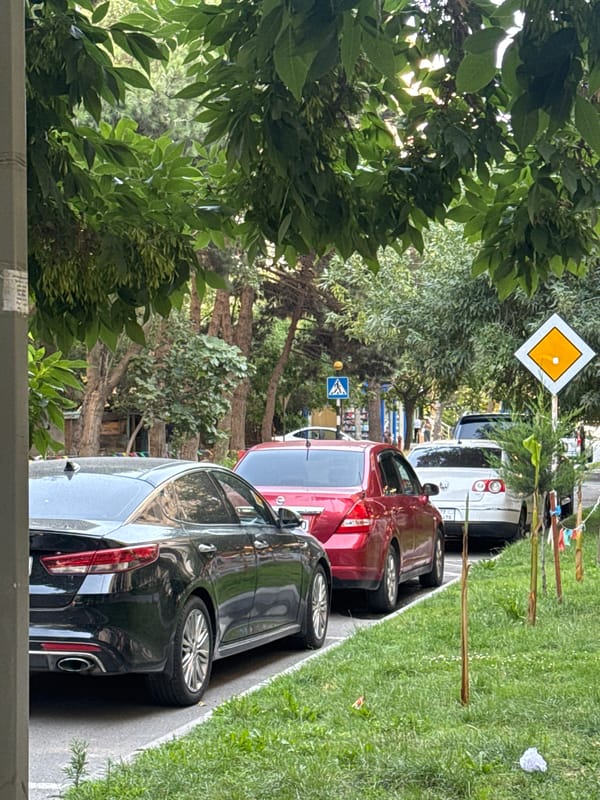 Parked cars line a grassy street verge in Baku