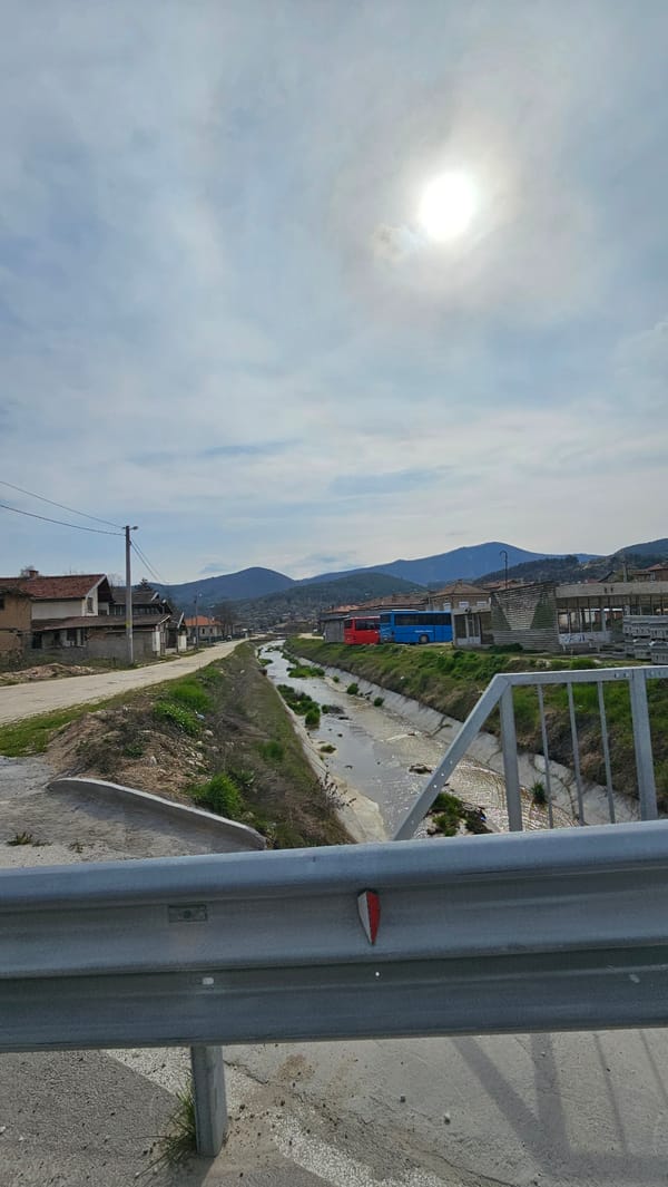 Everyday scenes documented in Slatina, Bulgaria including dogs and streetscape