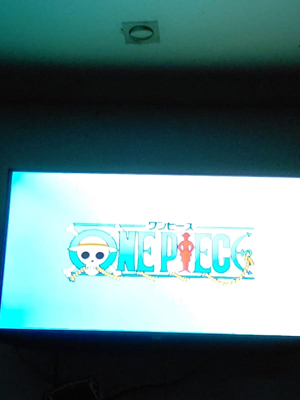Person watches One Piece anime with cat in Venezuelan home