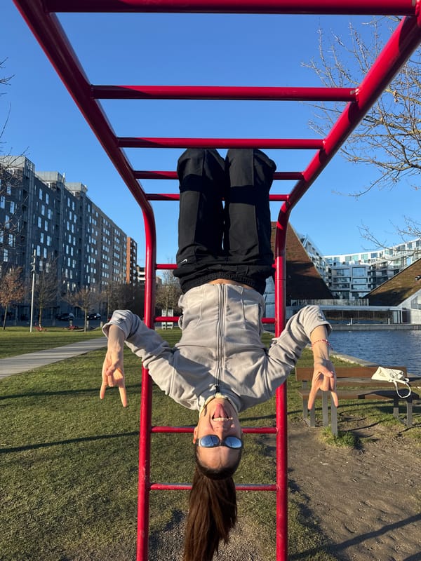 Person practices parkour and martial arts by Copenhagen waterfront