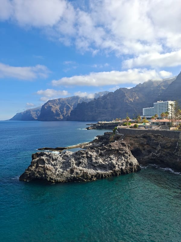 Los Gigantes cliffs and coastal life, Tenerife