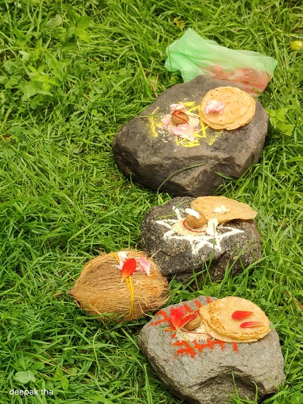 Outdoor puja ritual on a grassy hillside in Vashisht
