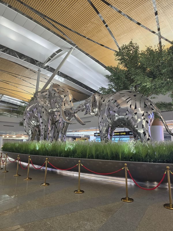 Metal bull sculptures displayed indoors in Thailand