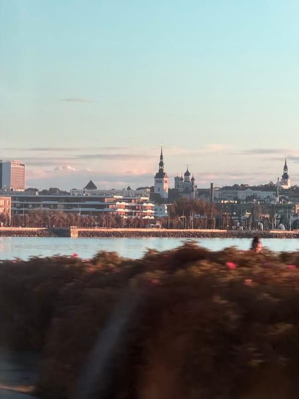 Tallinn waterfront and skyline views during golden hour