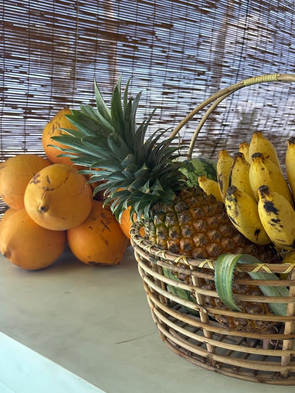 Morning scenes captured at tropical resort in Midigama, Sri Lanka