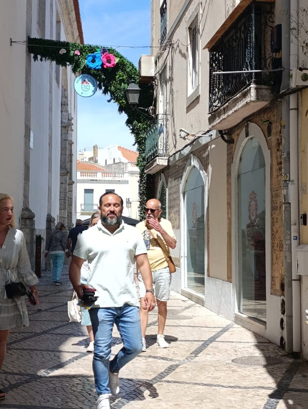 Setúbal's Rota das Flores festival fills the streets on a sunny morning