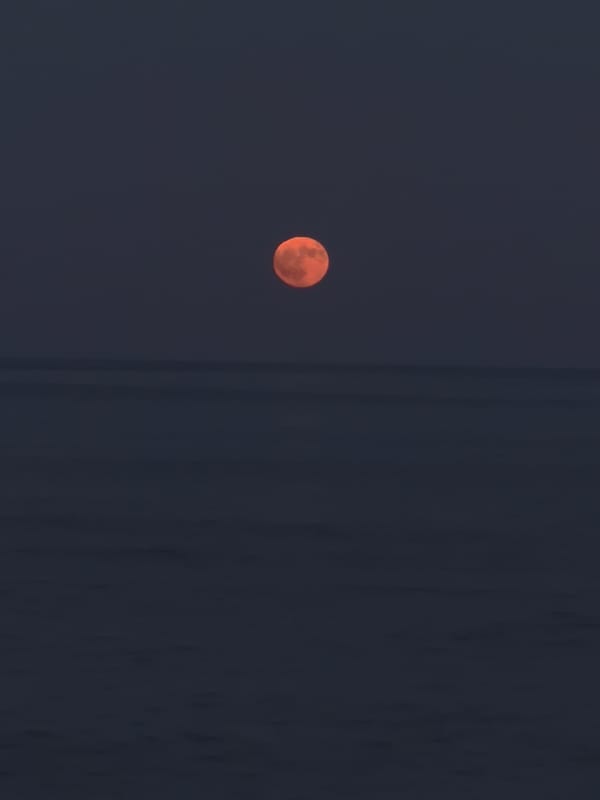 Orange moon rises over a calm Golden Beach at dusk