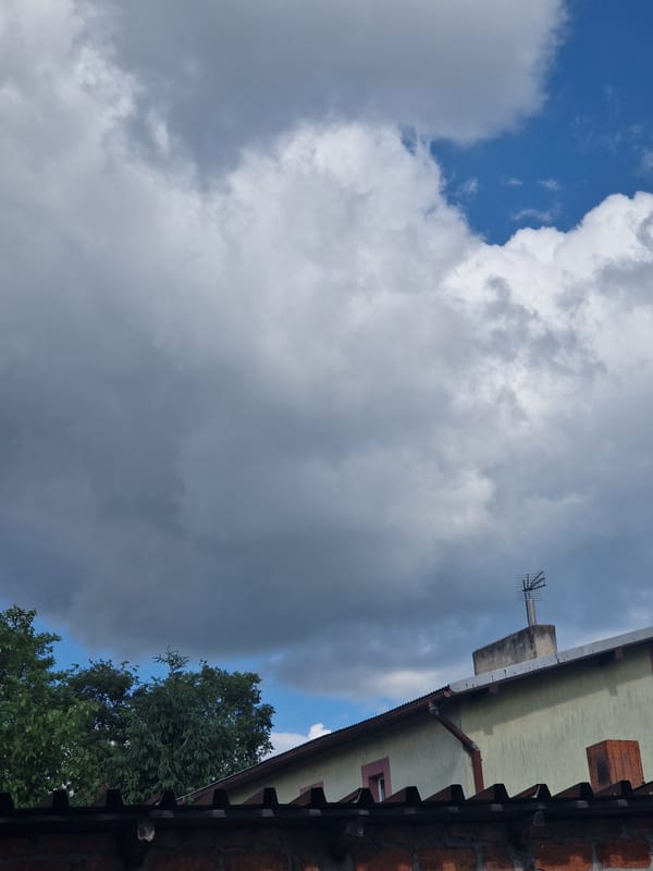 Morning domestic life documented in Poddębice, Poland home and garden