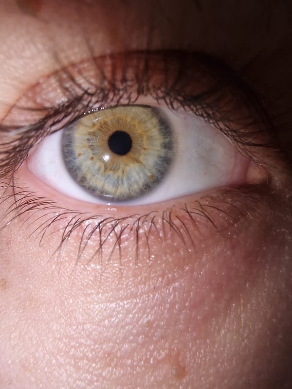 Eye close-up and Sunday hashtag image captured moments apart