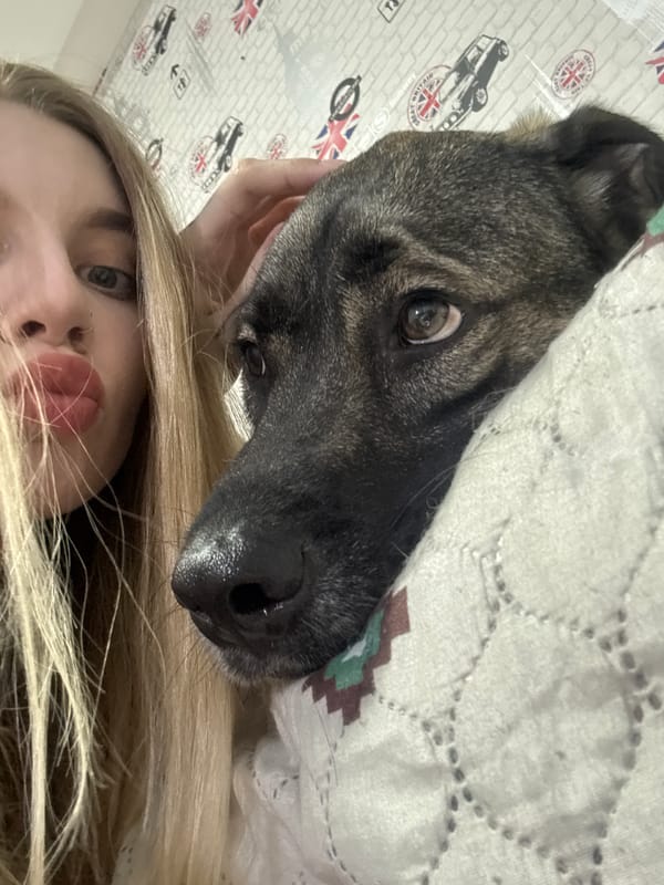 Dogs, selfies, and apartment life in Omsk
