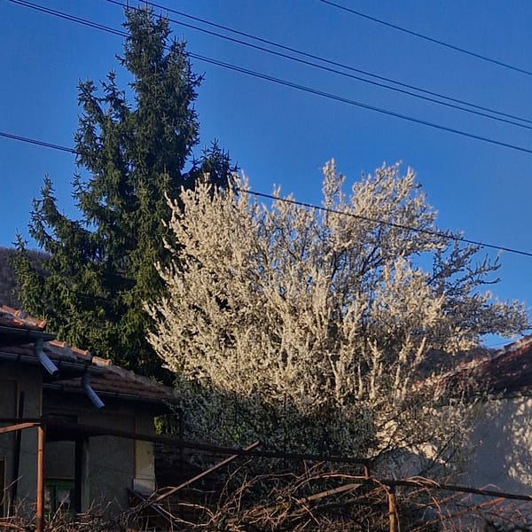 Casual street photography session documented in Bulgarian village