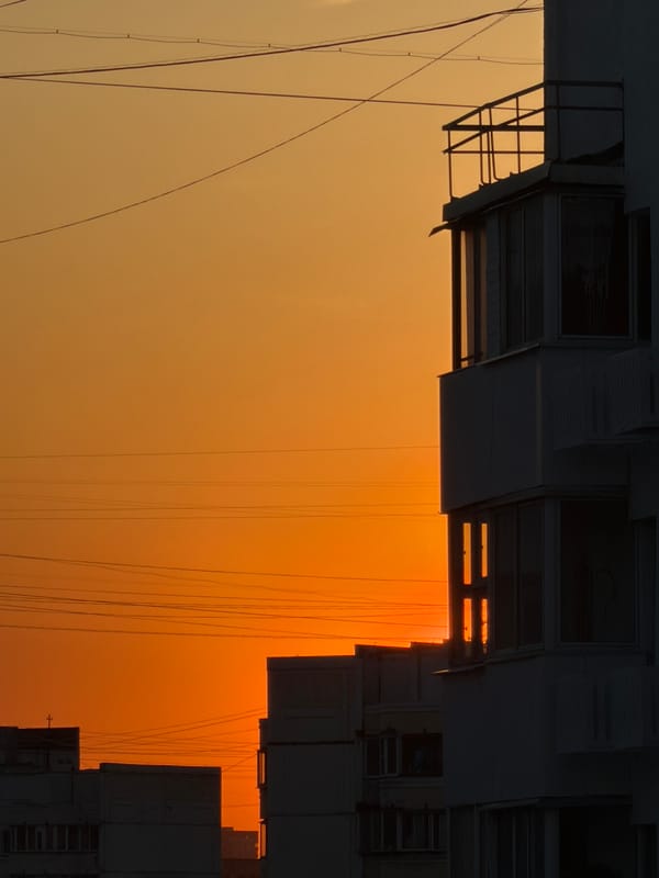 Inverted photo captures Khimki buildings against orange sky