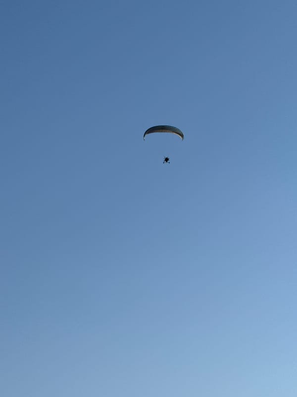 Spring day captures: paragliding, selfies, budding trees, ice cream