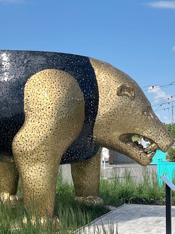 Morning scenes captured across Ufa: art, river views, construction