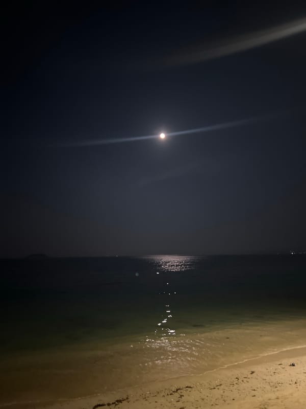 Nighttime scenes captured in Bắc Nha Trang beach and cityscape