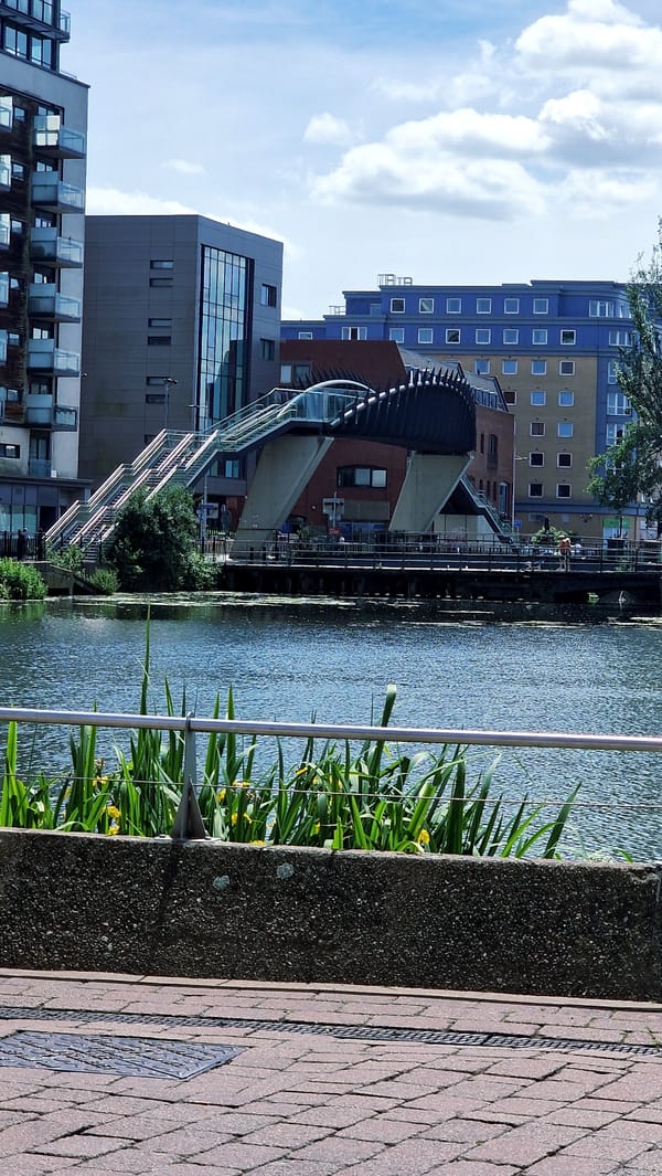 Witness documents Lincoln's Brayford Pool waterfront and covered bridge