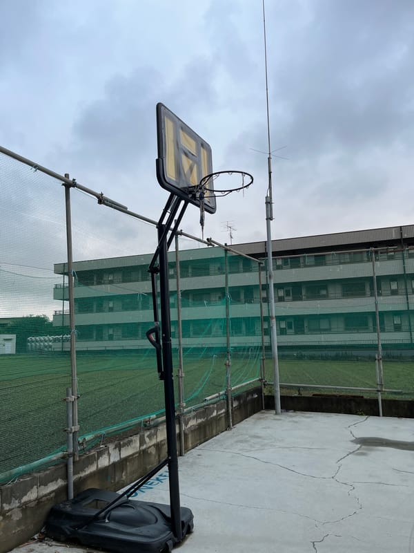 Overcast morning in Sayama: courts, towers, and gardens