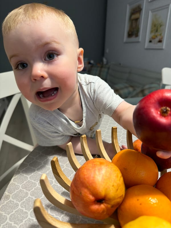 Families play with citrus fruits in Votkinsk, Russia