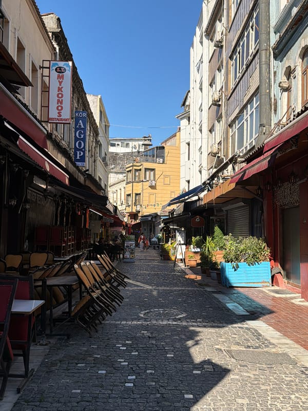 Morning street scenes and cafe cat documented across Istanbul