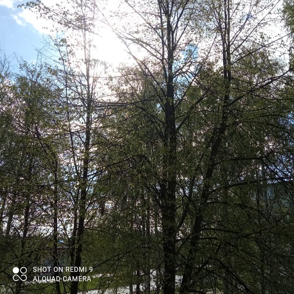 Ordinary moments documented across Chaikovsky, Russia in ten-minute span